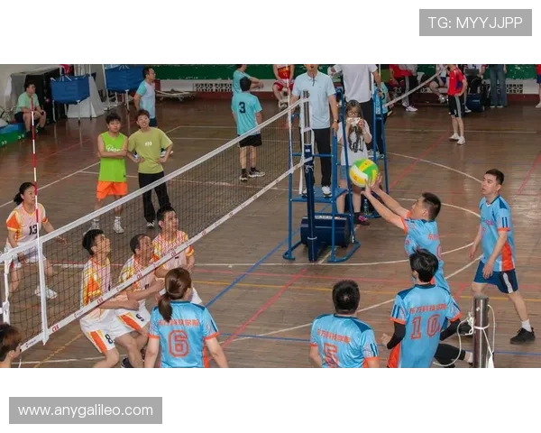 东方体育排球联赛官网（东方体育中心赛事）sports